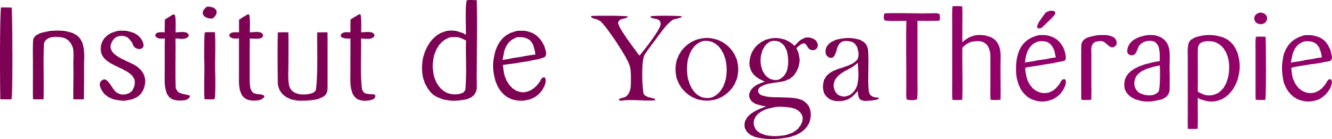 logo idyt